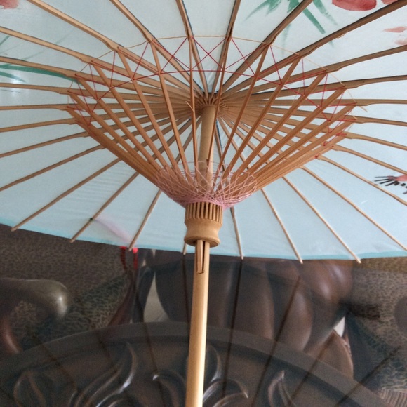 Umbrella 🌂 - Morikami Museum and Japanese Gardens - Picture 4 of 8